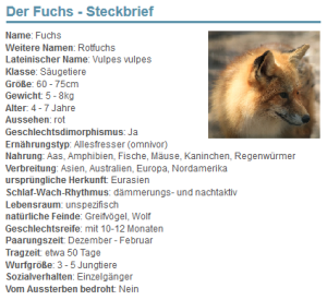 Der Fuchs - Haustiere-Lexikon.com