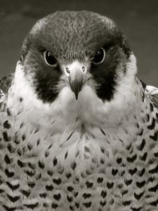 02 Beitragsbild