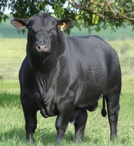 01 Beitragsbild 1