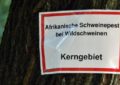 Schulen sollten jetzt über die Schweinepest aufklären